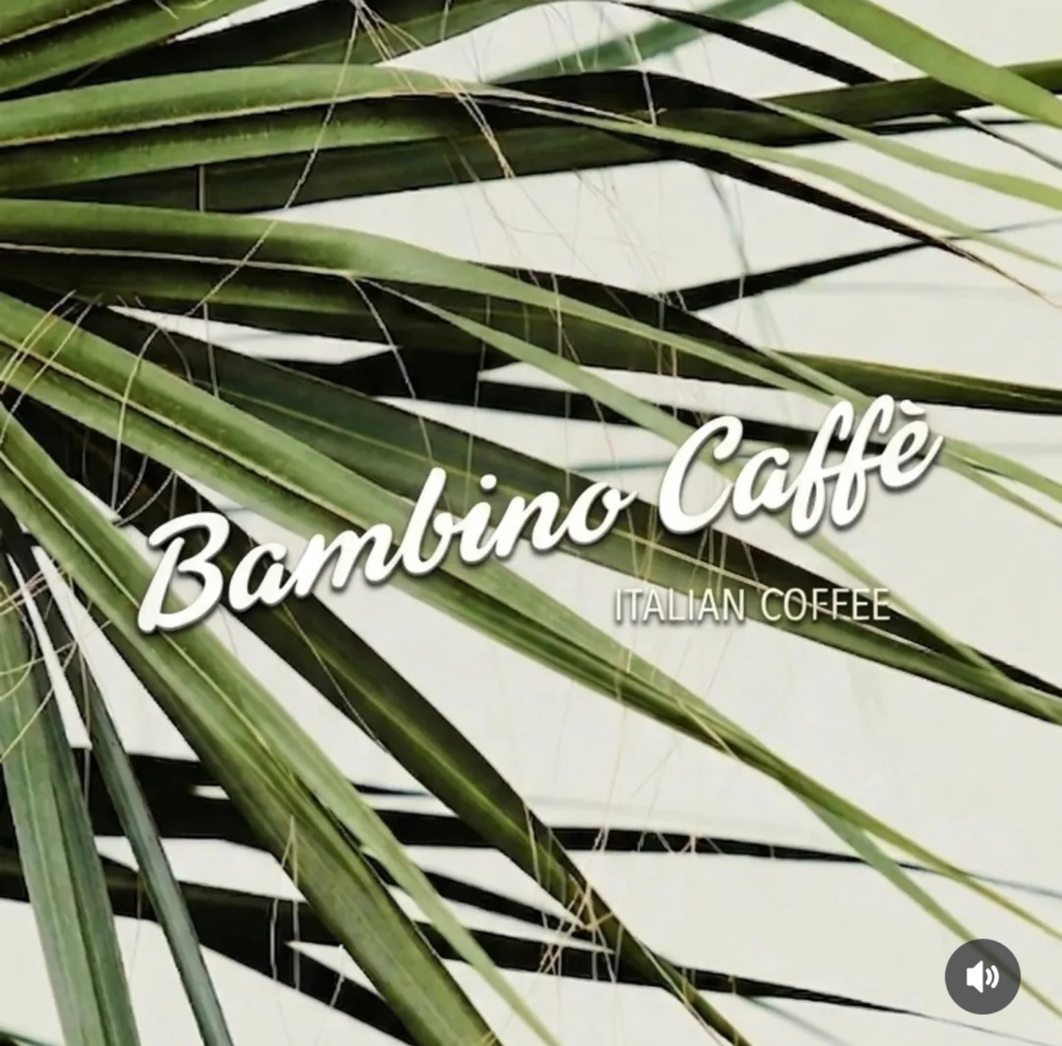 Palmes vertes et logo Bambino Caffè Italian Coffee